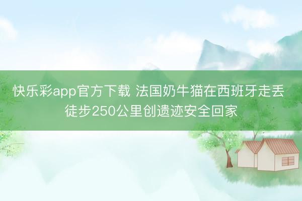 快乐彩app官方下载 法国奶牛猫在西班牙走丢 徒步250公里创遗迹安全回家