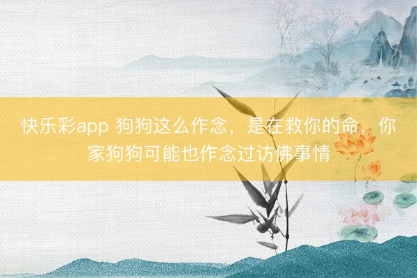 快乐彩app 狗狗这么作念，是在救你的命，你家狗狗可能也作念过访佛事情