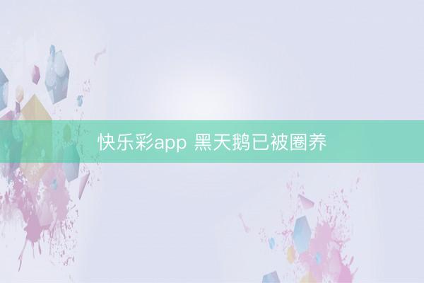 快乐彩app 黑天鹅已被圈养