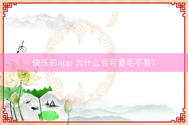 快乐彩app 为什么会可爱毛不易？